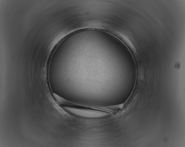 X0000091510944200708241626