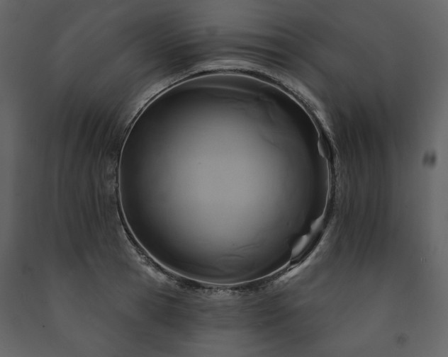 X0000091510945200708241626