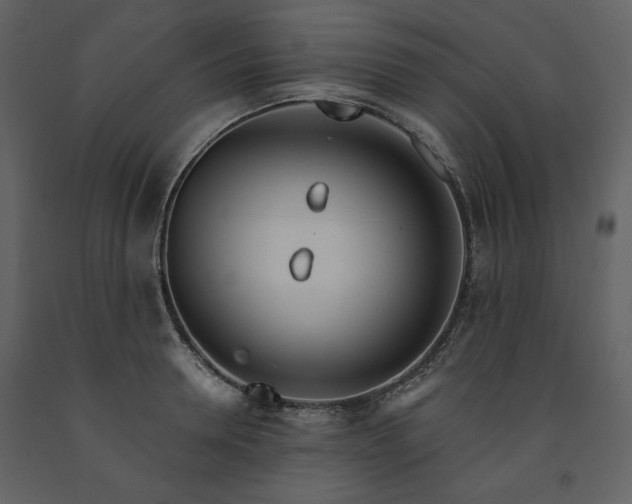 X0000091510946200708241626