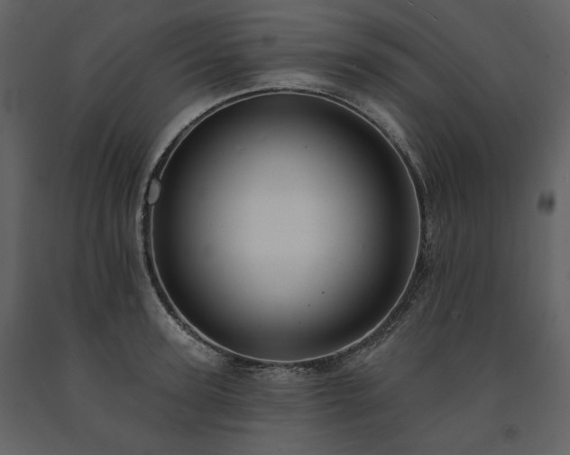 X0000091510947200708241626