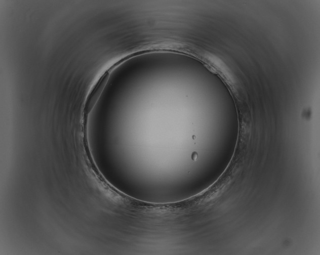 X0000091510948200708241626