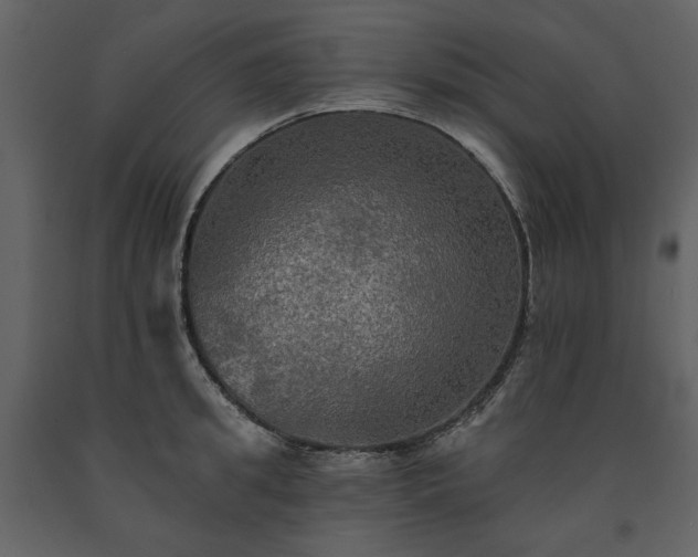 X0000091510949200708241626