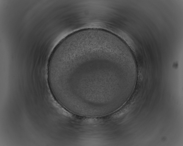 X0000091510950200708241626