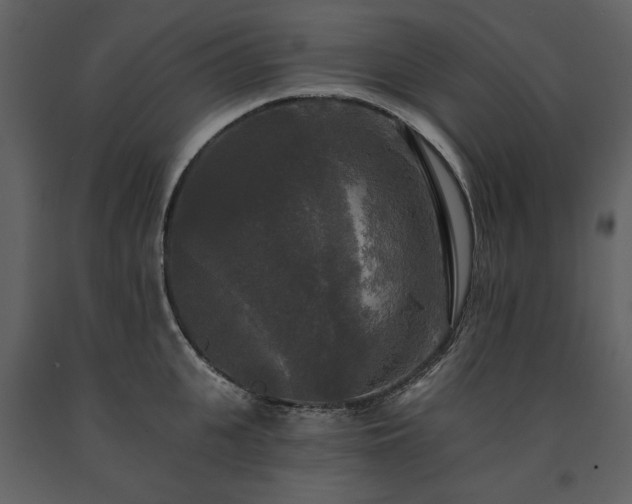 X0000091510951200708241626