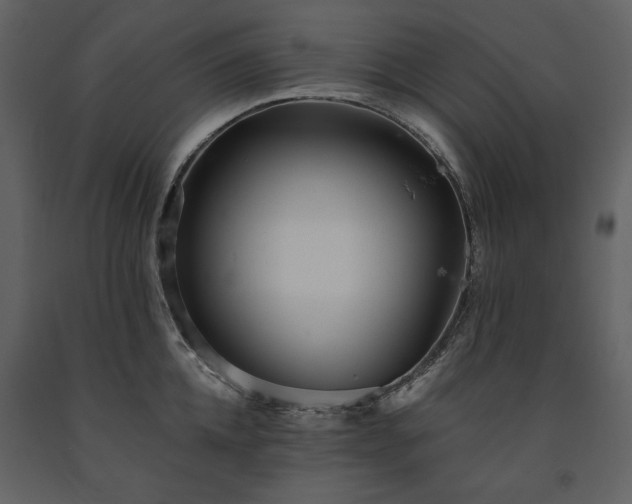 X0000091510952200708241626