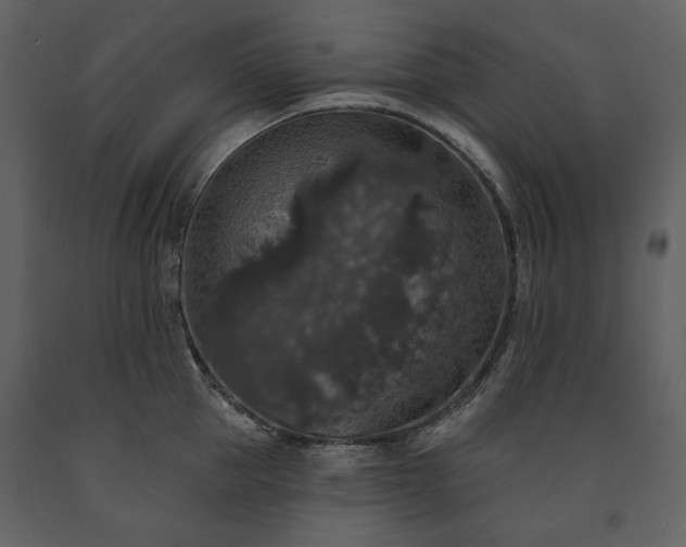 X0000091510953200708241626