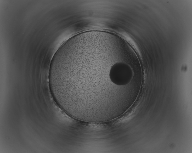 X0000091510954200708241626