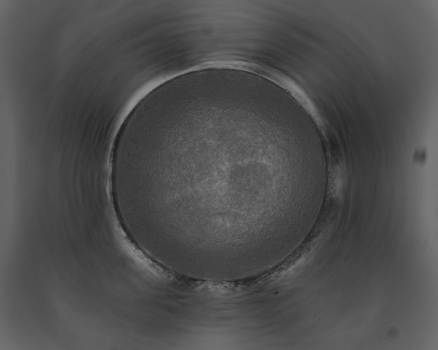 X0000091510955200708241626