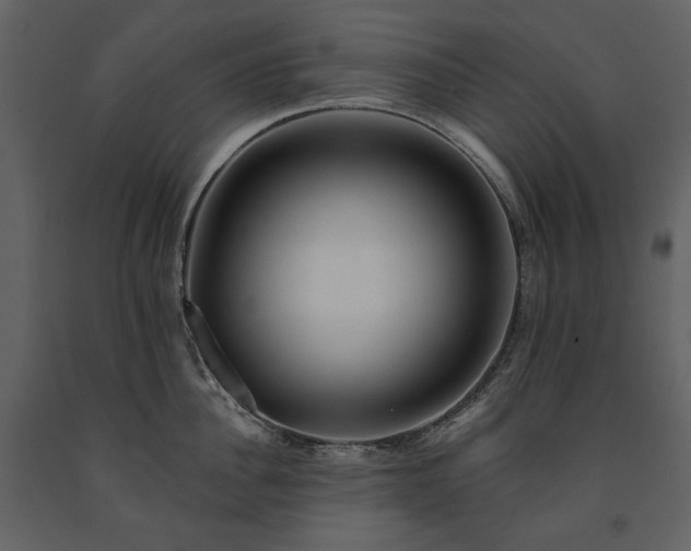 X0000091510956200708241626