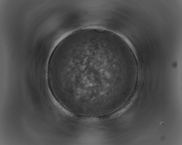 X0000091510957200708241626