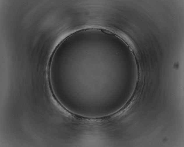 X0000091510958200708241626