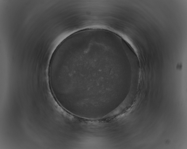 X0000091510959200708241626