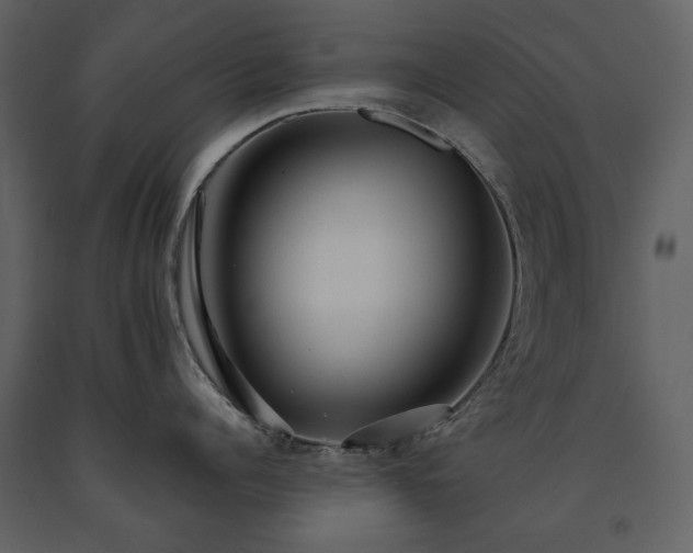 X0000091510960200708241626