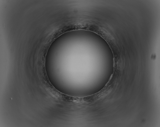 X0000091510961200708241626