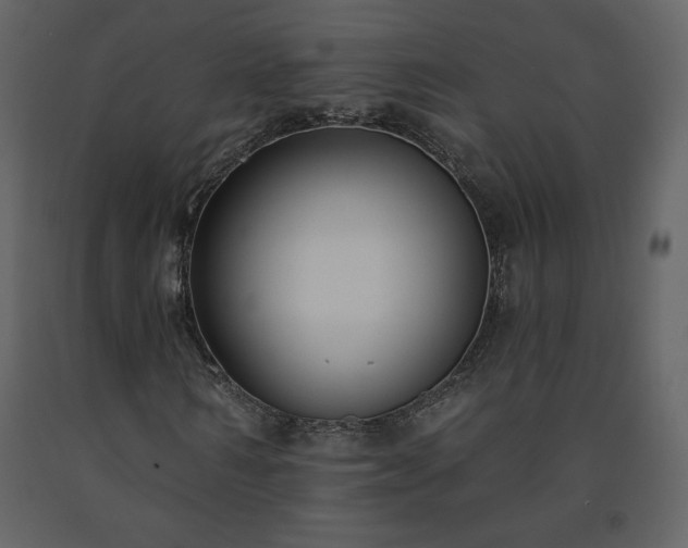 X0000091510962200708241626