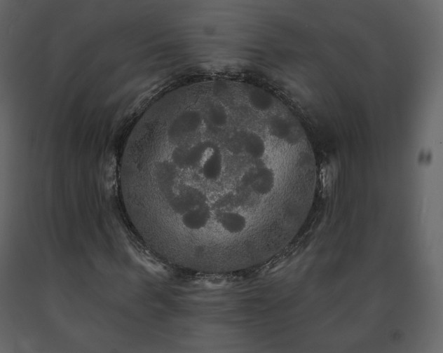 X0000091510963200708241626