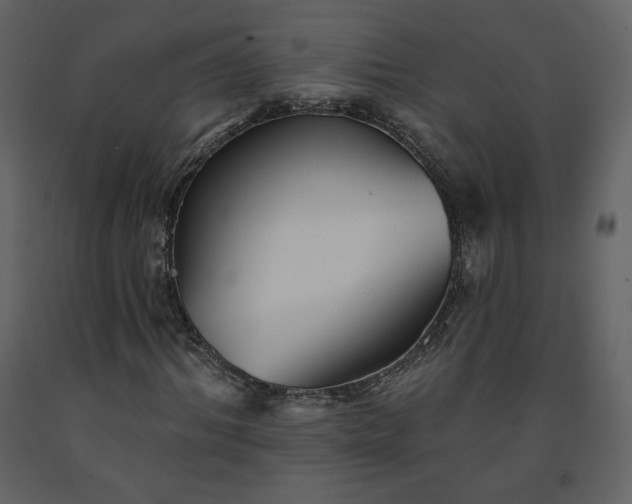 X0000091510964200708241626