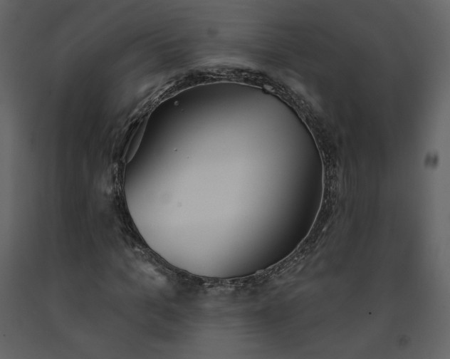 X0000091510965200708241626