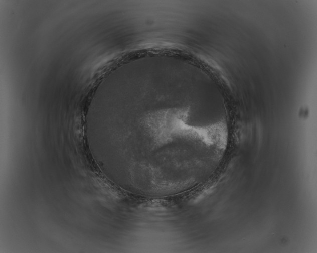 X0000091510966200708241626