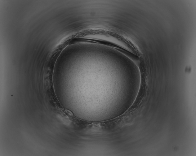 X0000091510968200708241626