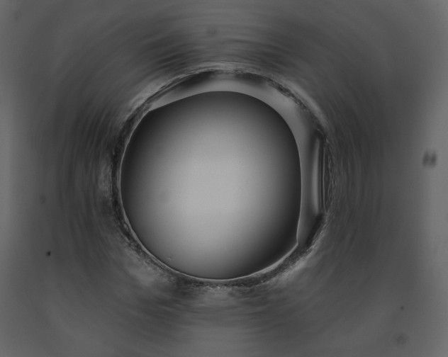 X0000091510969200708241626