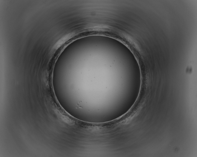 X0000091510970200708241626