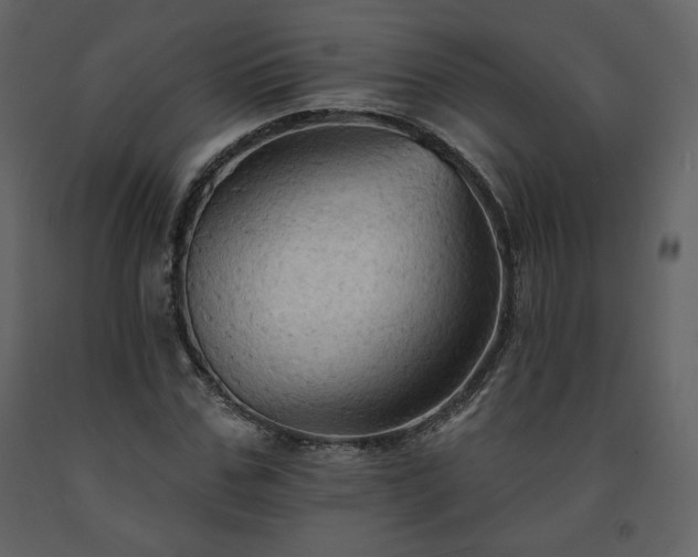 X0000091510971200708241626