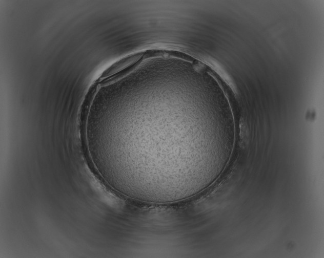 X0000091510972200708241626