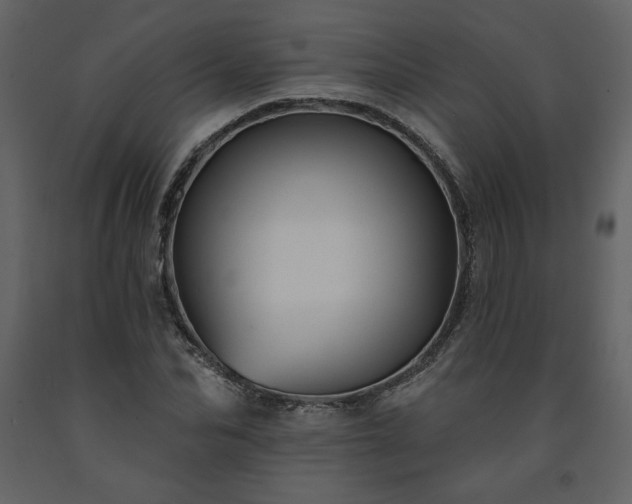 X0000091510974200708241626