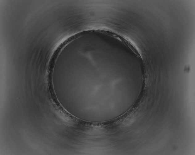 X0000091510975200708241626