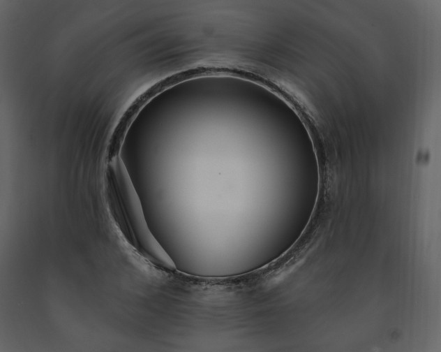 X0000091510976200708241626