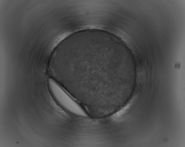 X0000091510977200708241625