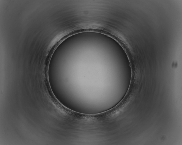 X0000091510978200708241625