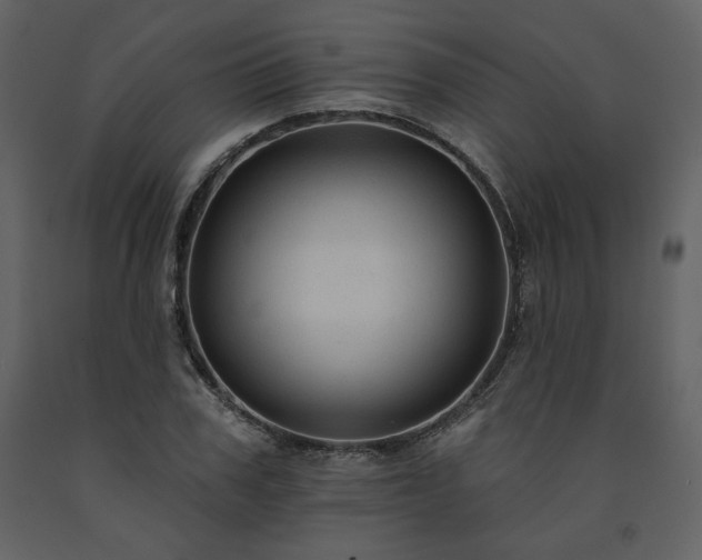 X0000091510979200708241625