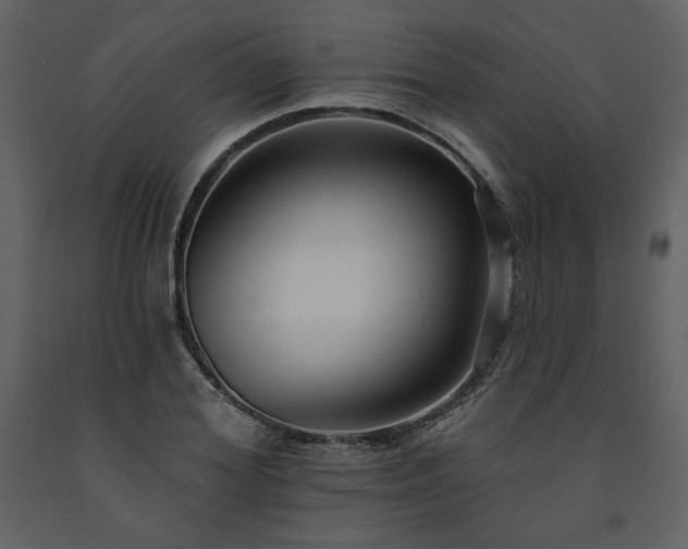 X0000091510980200708241625