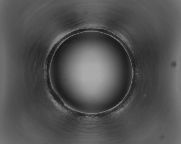 X0000091510981200708241625