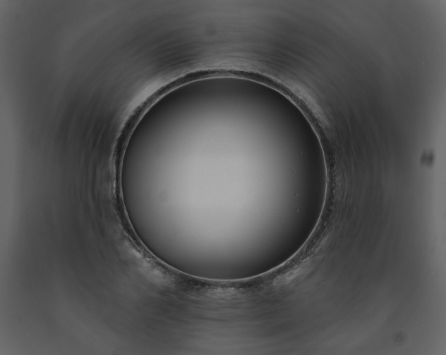 X0000091510982200708241625