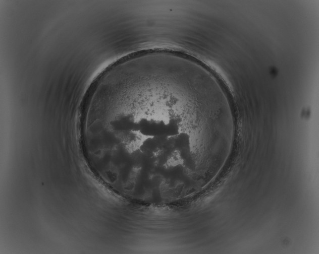 X0000091510983200708241625