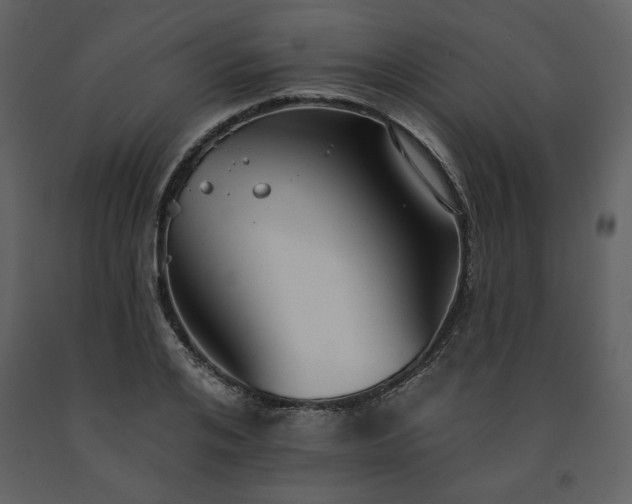 X0000091510984200708241625