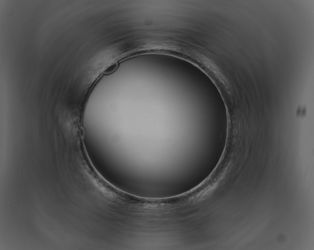 X0000091510985200708241625