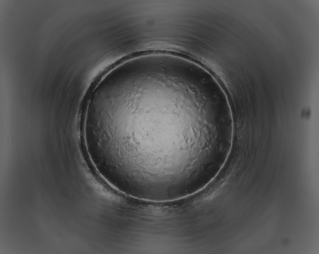 X0000091510987200708241625