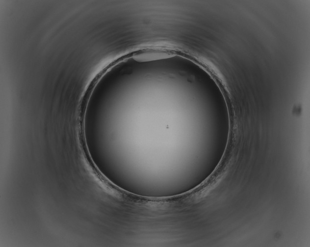 X0000091510989200708241625