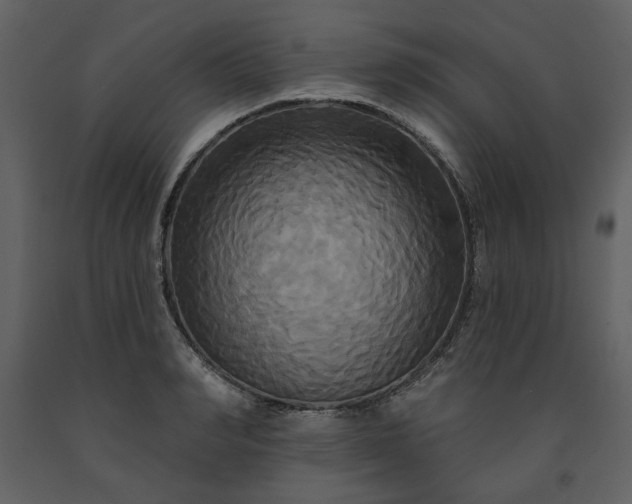 X0000091510990200708241625