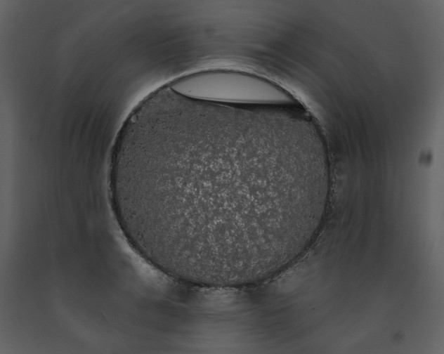 X0000091510991200708241625