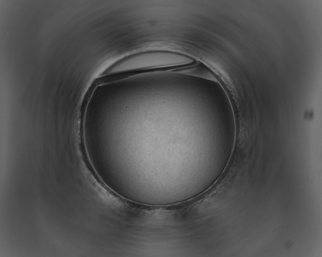 X0000091510992200708241625