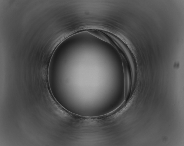 X0000091510993200708241625