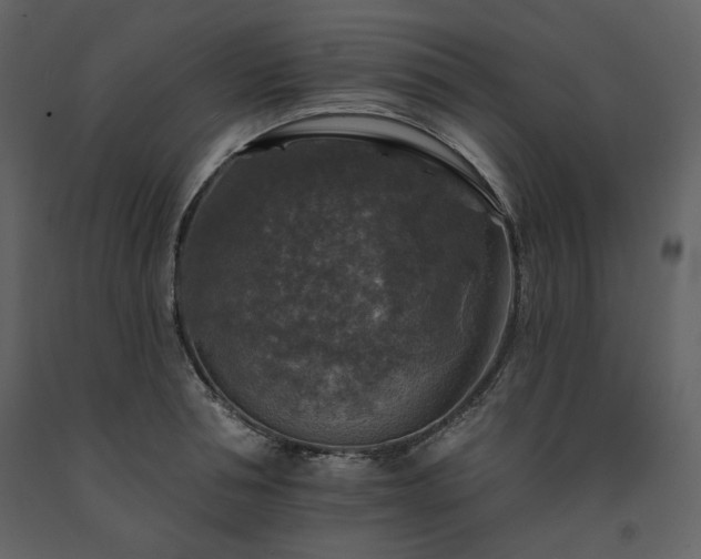 X0000091510994200708241625