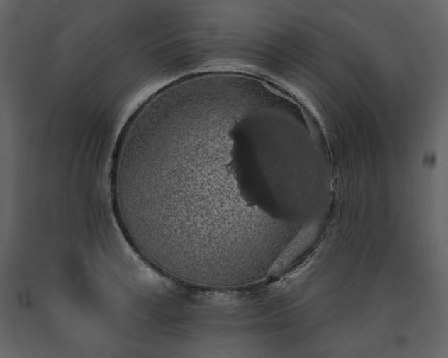 X0000091510995200708241625