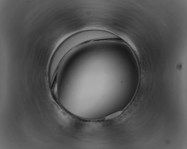 X0000091510996200708241625