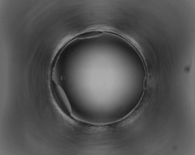 X0000091510997200708241625